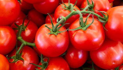 tomato-product-image
