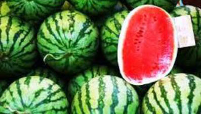 watermelon-product-image